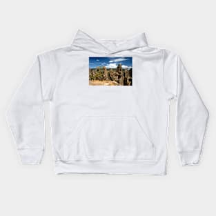 Alien Landscape Kids Hoodie